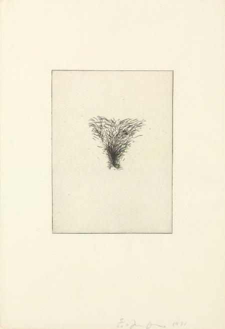 Jim Dine - Four Kinds of Pubic Hair (W. C. 39-42)