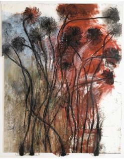 Jim Dine - Gebara Daisy