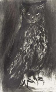 Jim Dine - Owl