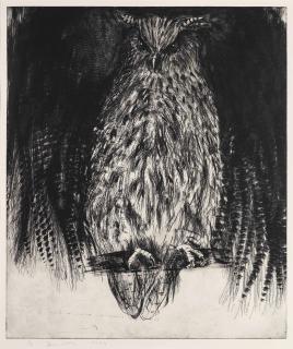Jim Dine - Owl