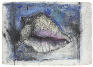 Jim Dine - Shell Study (Flowers) 3