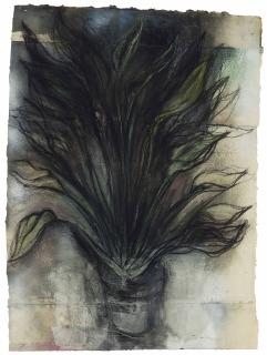 Jim Dine - Strelitzia No. 2