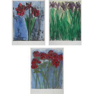 Jim Dine - The History Of Gardening Ii