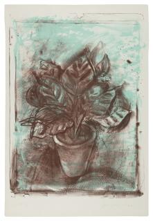 Jim Dine - The Jerusalem Plant #4 (D\'Oench & Feinberg 134)
