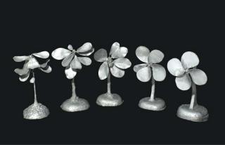 Jim Dine - The Metamorphosis Of A Plant Into A Fan