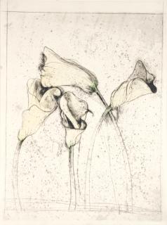 Jim Dine - Yellow Calla Lilies from \