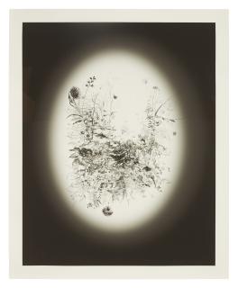 Jim Hodges - A New One For Cary