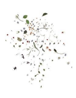 Jim Hodges - All of Us