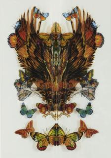 Jim Hodges - I\'Ve Pictured Us...