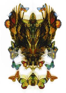 Jim Hodges - I\'Ve Pictured Us......