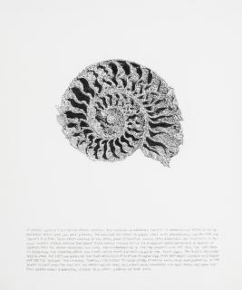 Jim Shaw - Dream Drawing (Nautilus: A Woman with a Dyed Blond Butch Haircut), 1993