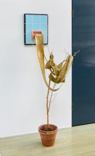 Jim Shaw - I Had A Tree