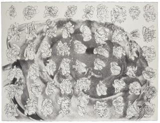 Jim Shaw - Ost Student Drawing (Apple pastry)