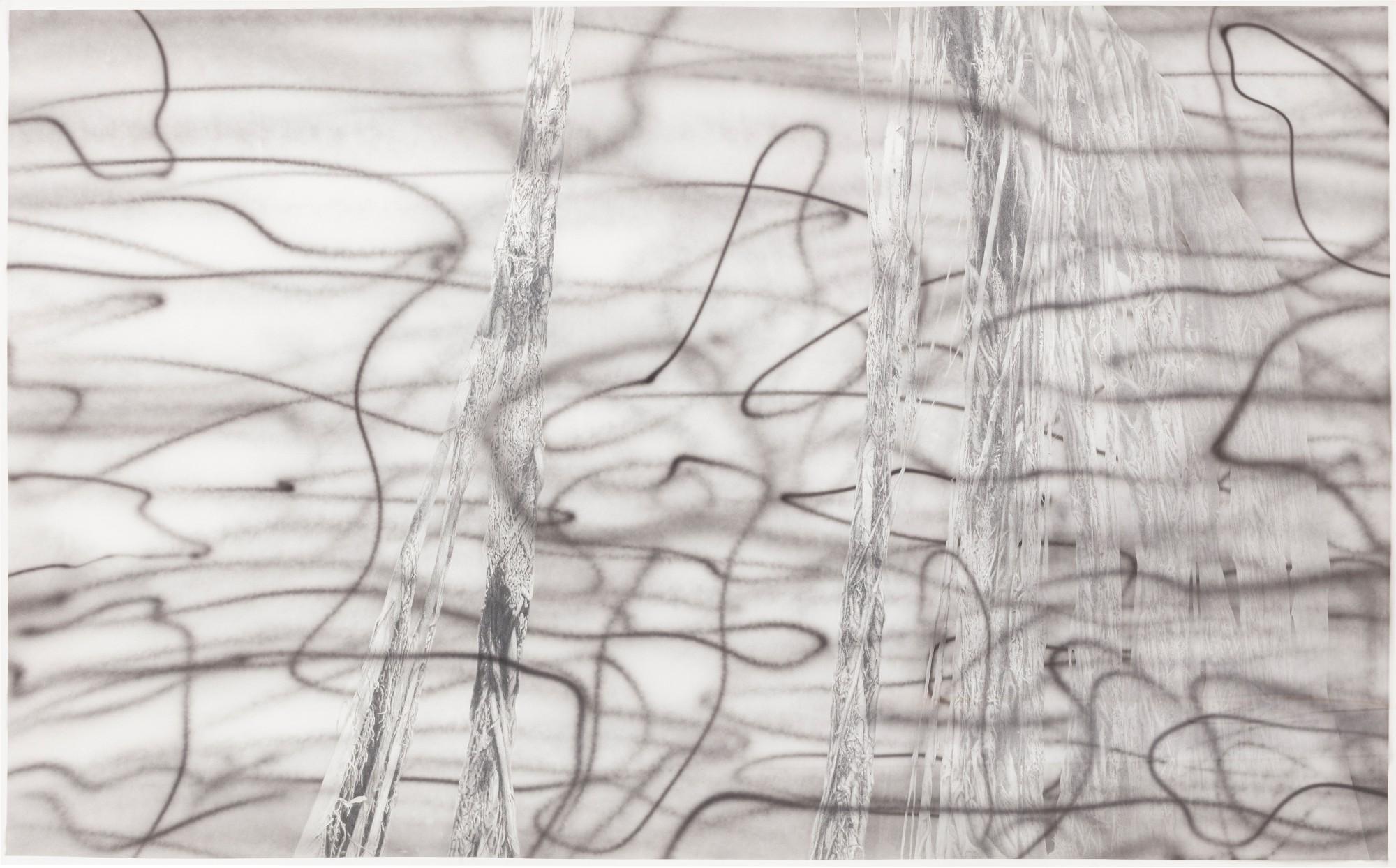 Jim Shaw - Untitled (Aerial Roots Horizontal)