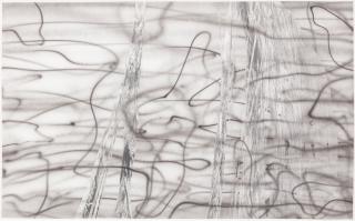 Jim Shaw - Untitled (Aerial Roots Horizontal)