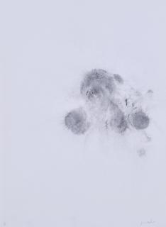 Jimmie Durham - 4/7 (Aus: Roadkill).