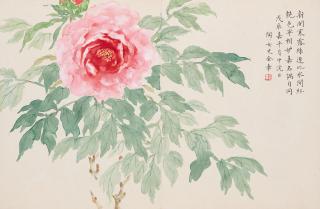 Jin Zhang - Chinese Rose