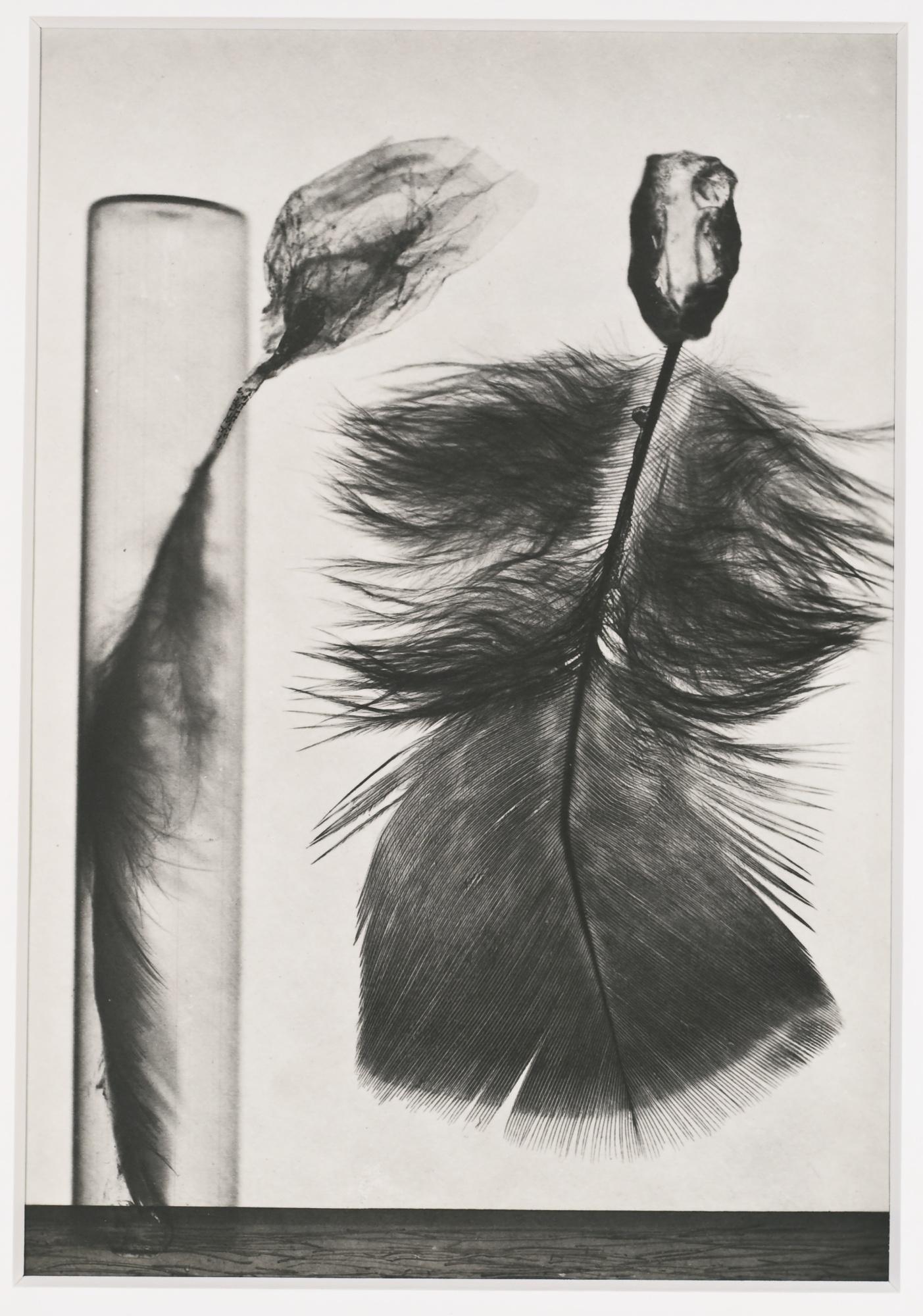 Jindřich Heisler - Five Untitled Photographs, 1943-1944