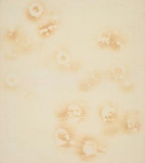 Jiri Georg Dokoupil - 10 Glasses and 1 Plate.