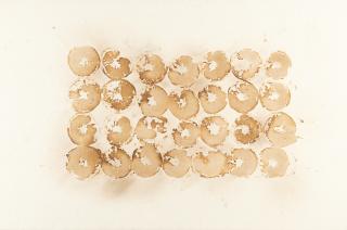 Jiri Georg Dokoupil - 28 Äpfel