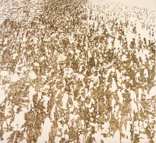 Jiri Georg Dokoupil - Badende X