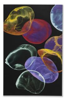 Jîrí Georg Dokoupil - Untitled