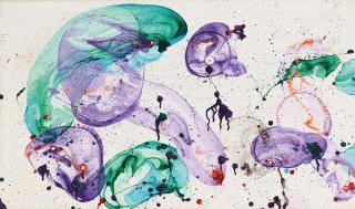 Jirí Georg Dokoupil - Vegetarisch