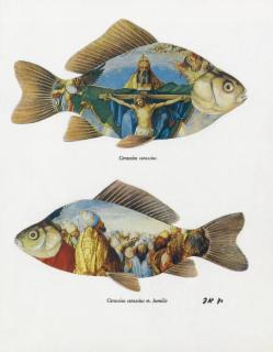 Jiri Kolar - Senza titolo