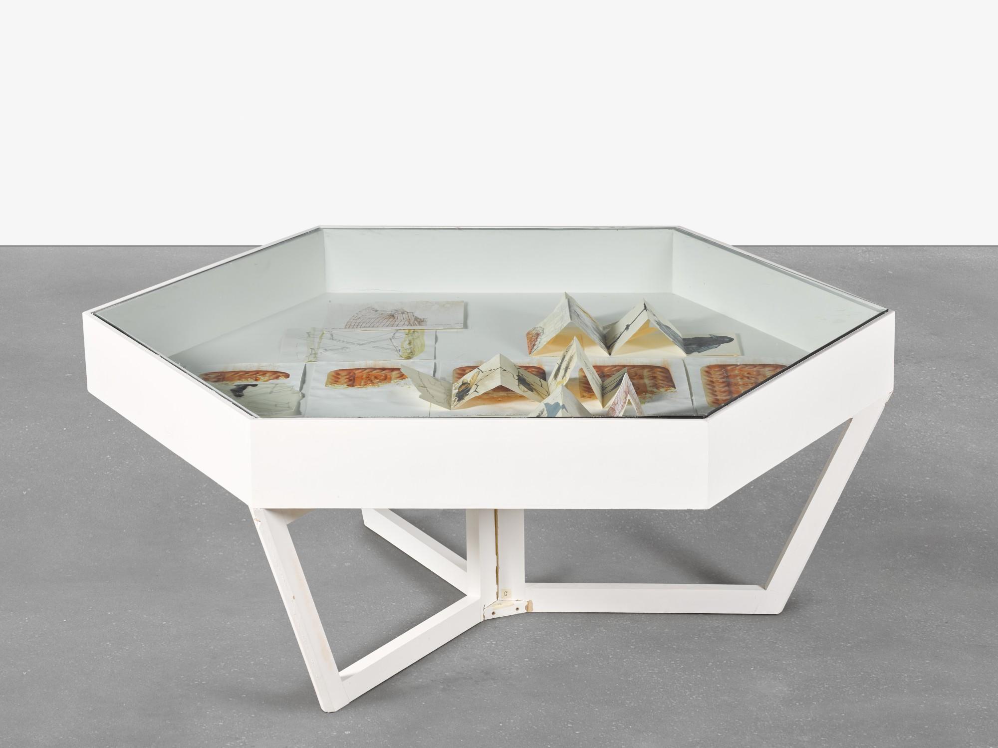 Jitish Kallat - Afterwards (Versions of a Disappearing Act)