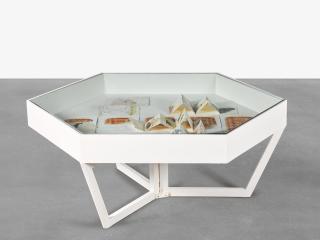 Jitish Kallat - Afterwards (Versions of a Disappearing Act)