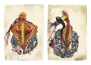 Jitish Kallat - Traumanama (The Cry of the Gland)