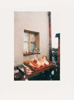 Jitka Hanzlová - Ohne Titel (Schweineköpfe).