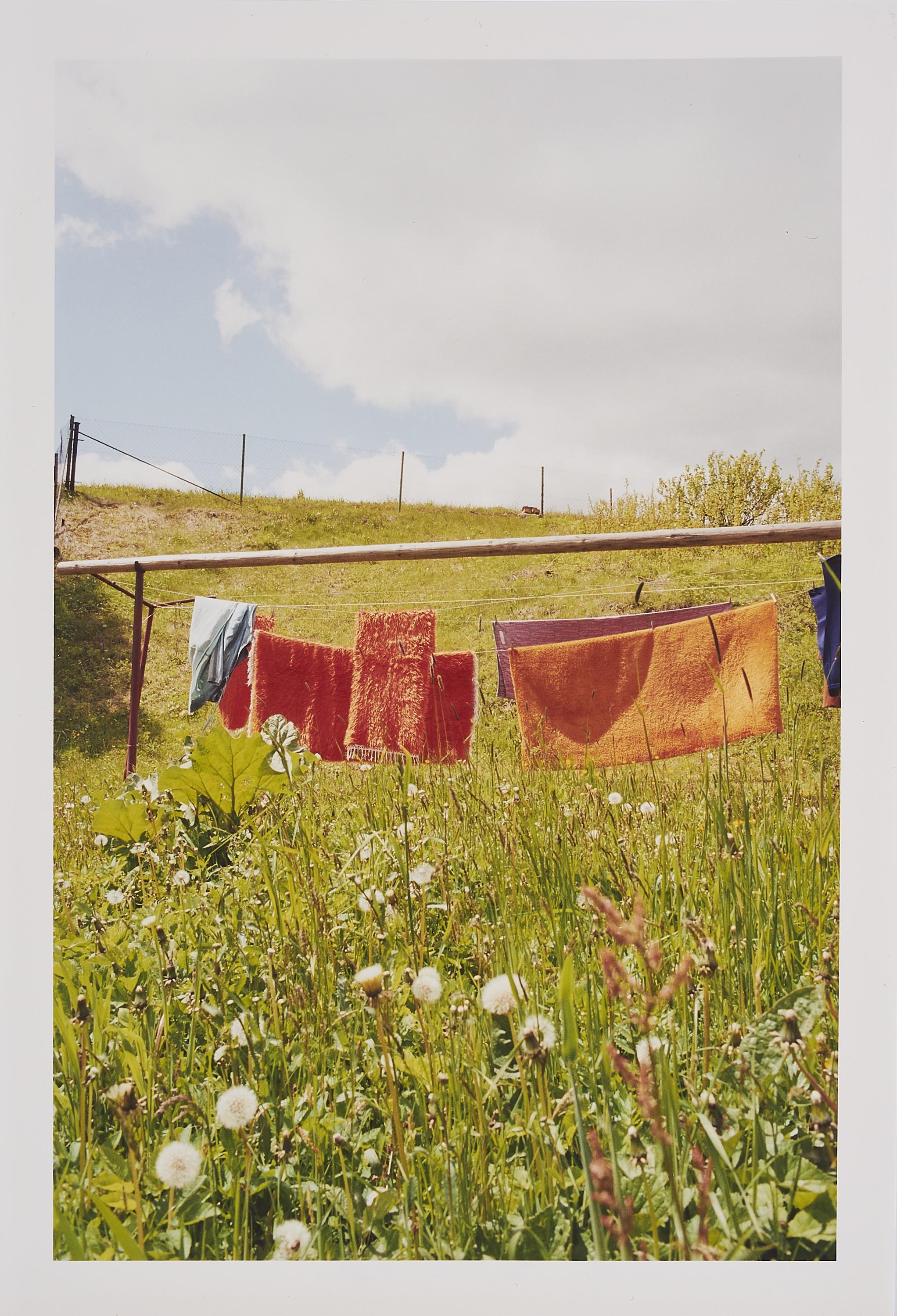 Jitka Hanzlová - Rokytník.