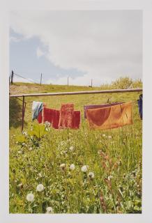 Jitka Hanzlová - Rokytník.