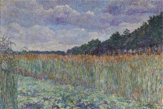 Jo Koster - A cornfield