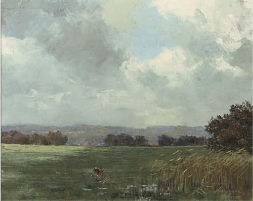 Jo Schrijnder - De Steeg