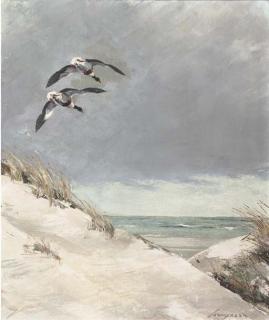 Jo Schrijnder - Ducks flying over dunes