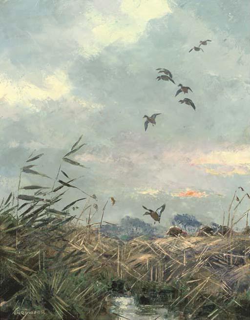 Jo Schrijnder - Early Morning In The Polder