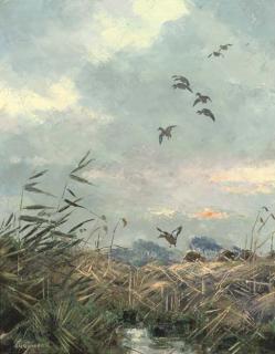 Jo Schrijnder - Early Morning In The Polder