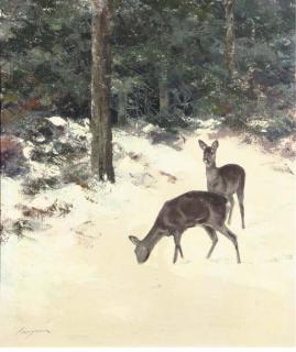 Jo Schrijnder - Hinds in winter