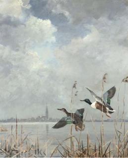 Jo Schrijnder - Poel Amstelveen - Opvliegende slobeenden