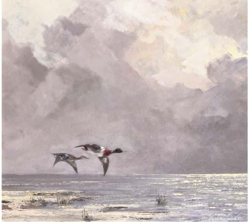 Jo Schrijnder - Two flying shovelers in winter