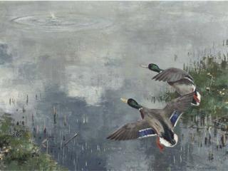 Jo Schrijnder - Two flying shovelers