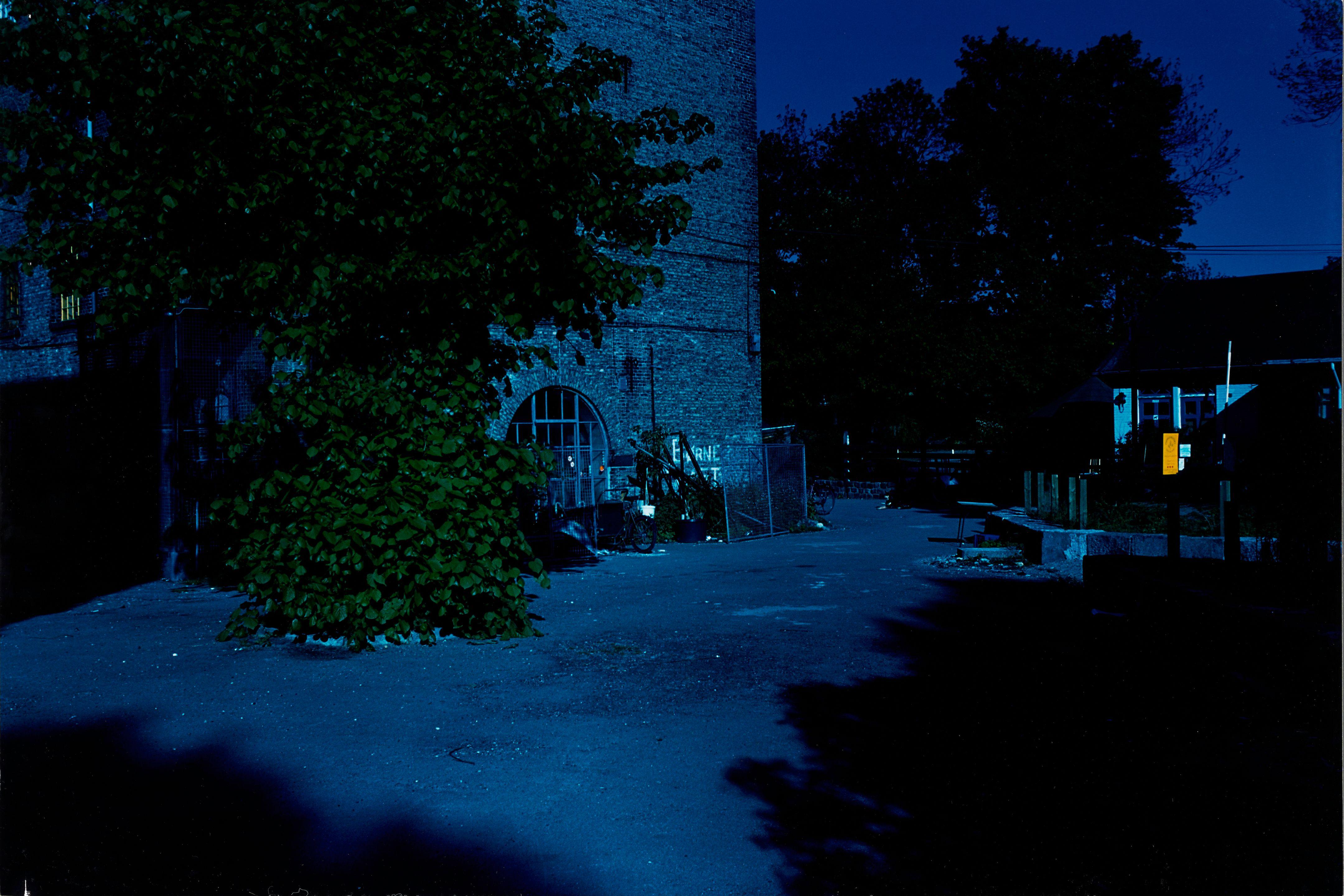 Joachim Koester - Day for Night, Christiania (The Multimedia House/Stables)