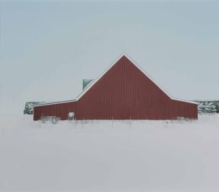 Joakim Eneroth - Swedish red #042, 2009