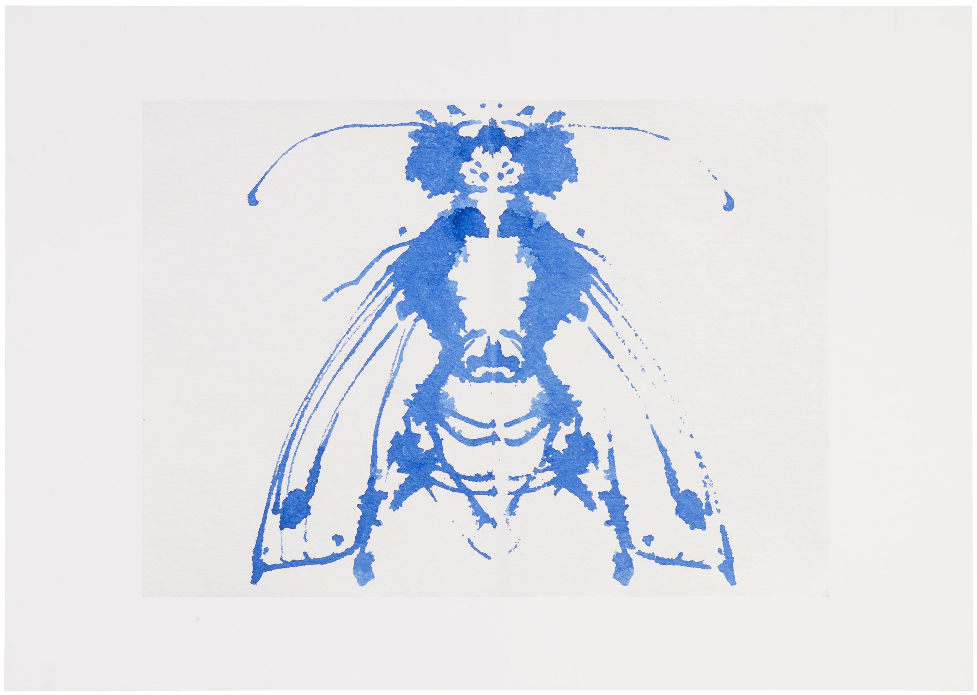 Joan Jonas - Blue Bee