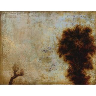 Joan Nelson - Untitled (#164)