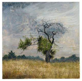 Joan Nelson - Untitled (#379)