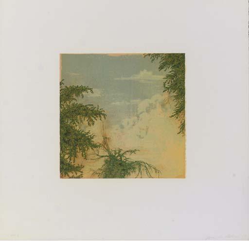 Joan Nelson - Untitled; and Untitled