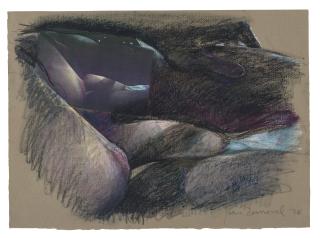 Joan Semmel - Untitled